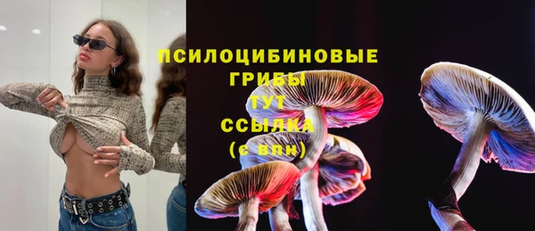 твердый Вязники