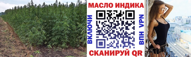 Купить закладки  Новоалтайск  ТГК THC oil 
