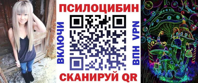 Галлюциногенные грибы Psilocybe  Купить  Новоалтайск 